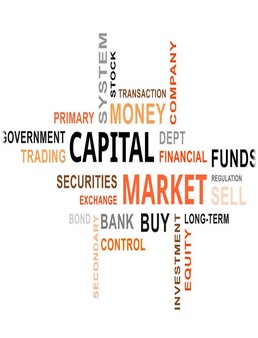 Capital Market in India